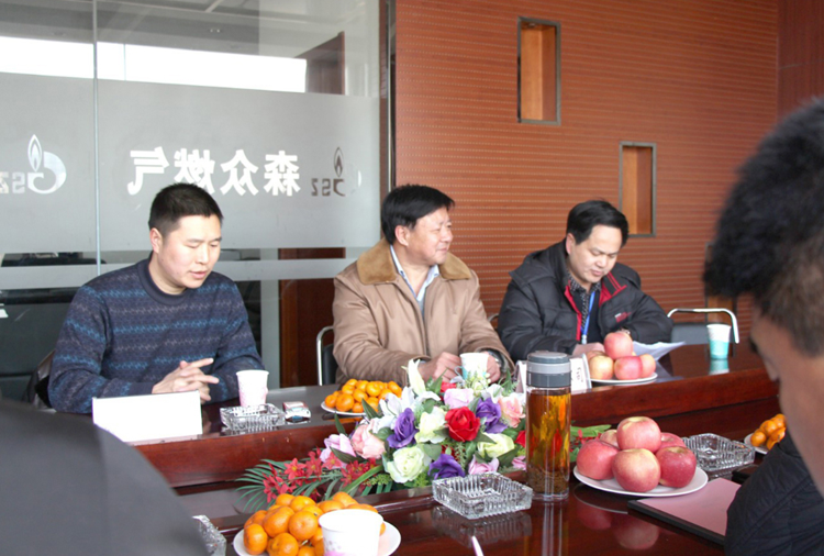 林口县政府与沈阳英俊环保材料销售有限公司燃气项目洽谈.png